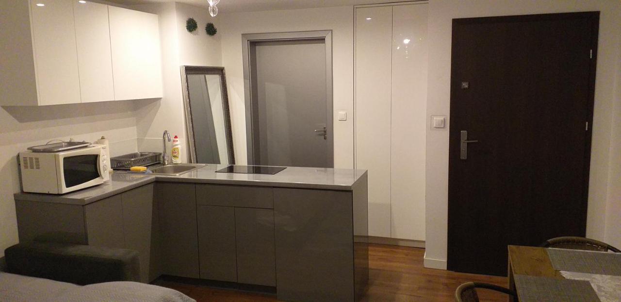 Apartament Elblag Stare Miasto - Old Town Zewnętrze zdjęcie